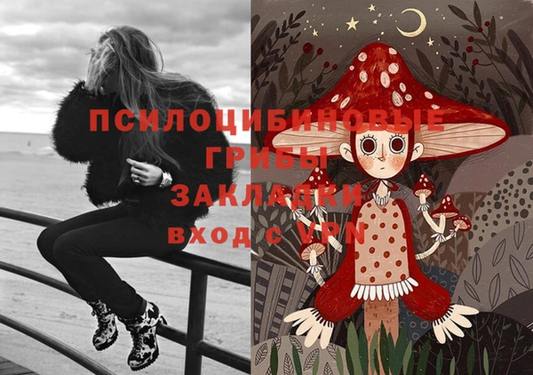 не бодяженный Бородино